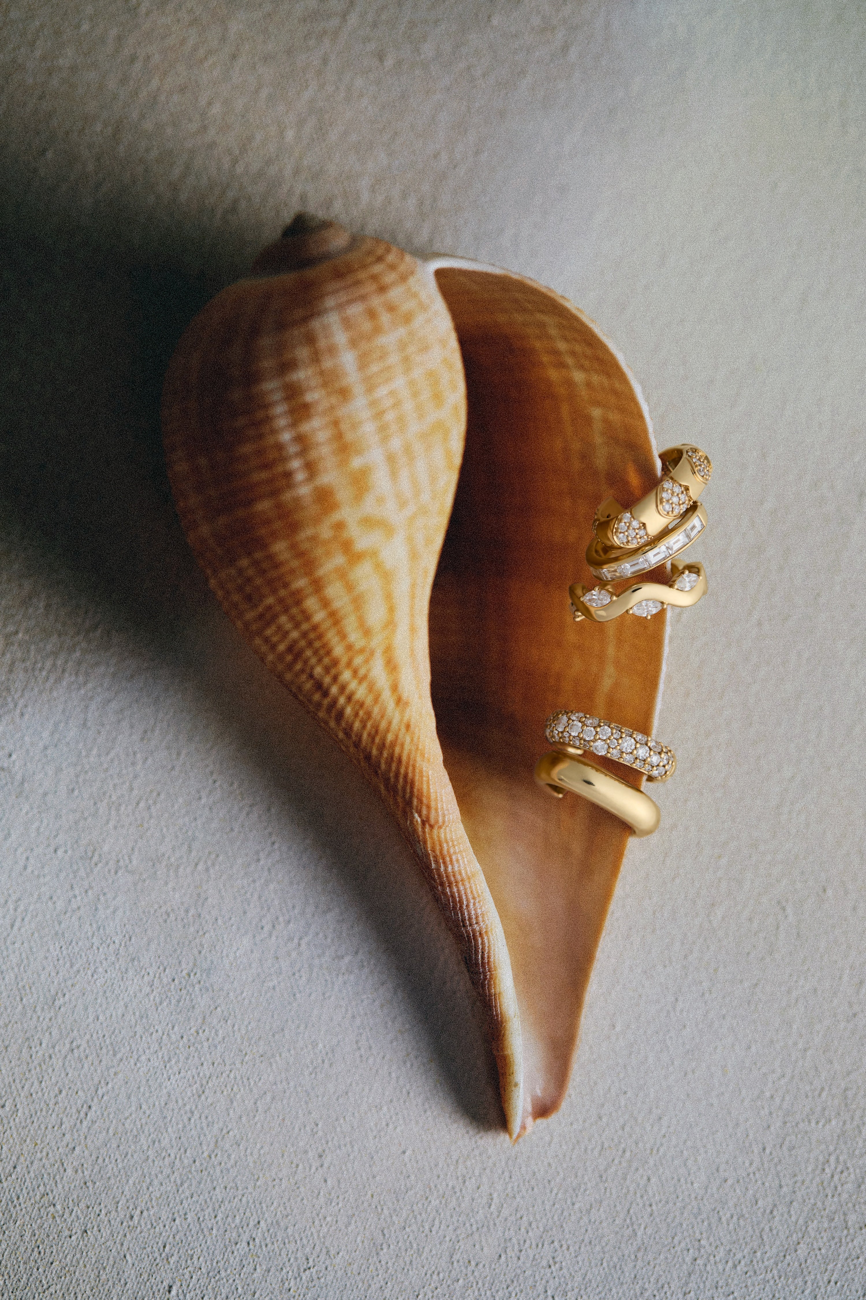 Agrandir