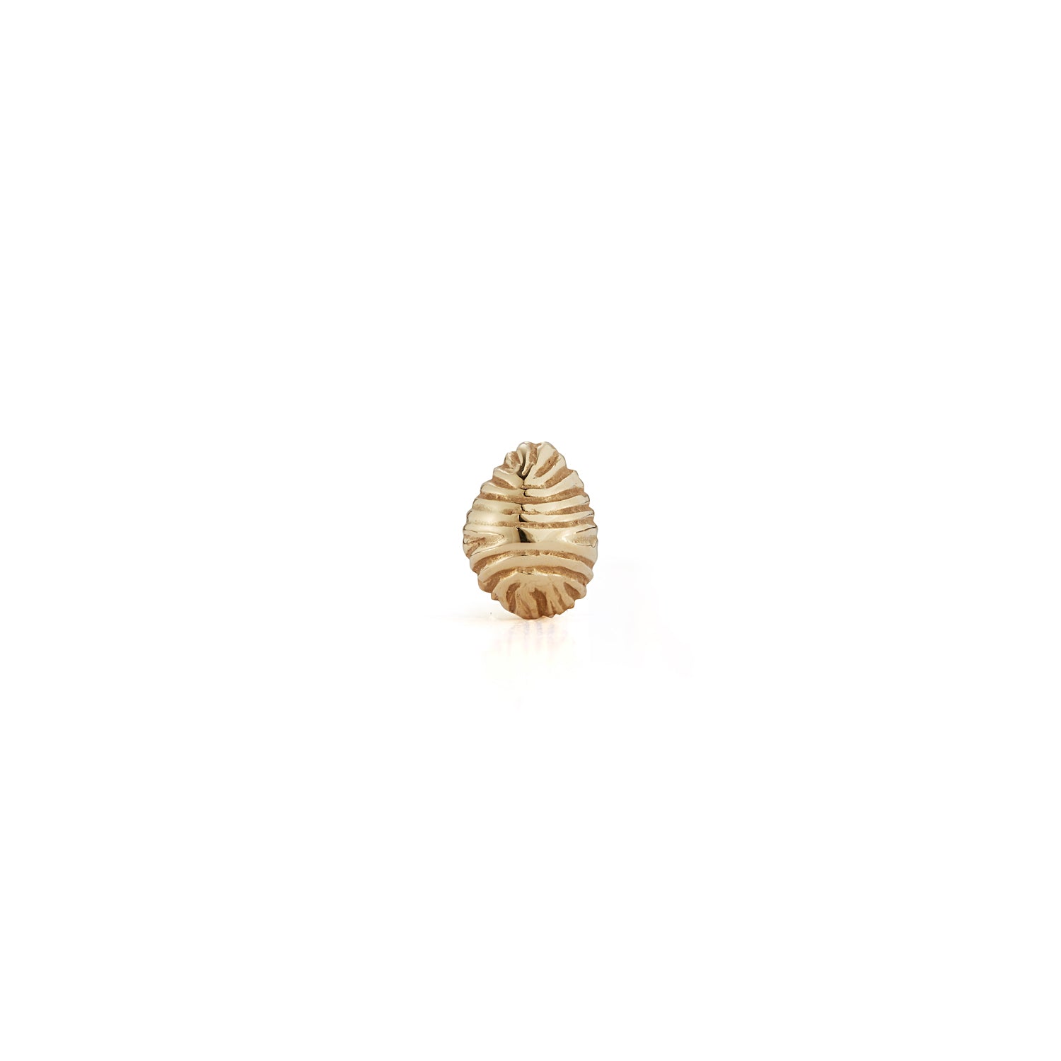Agrandir